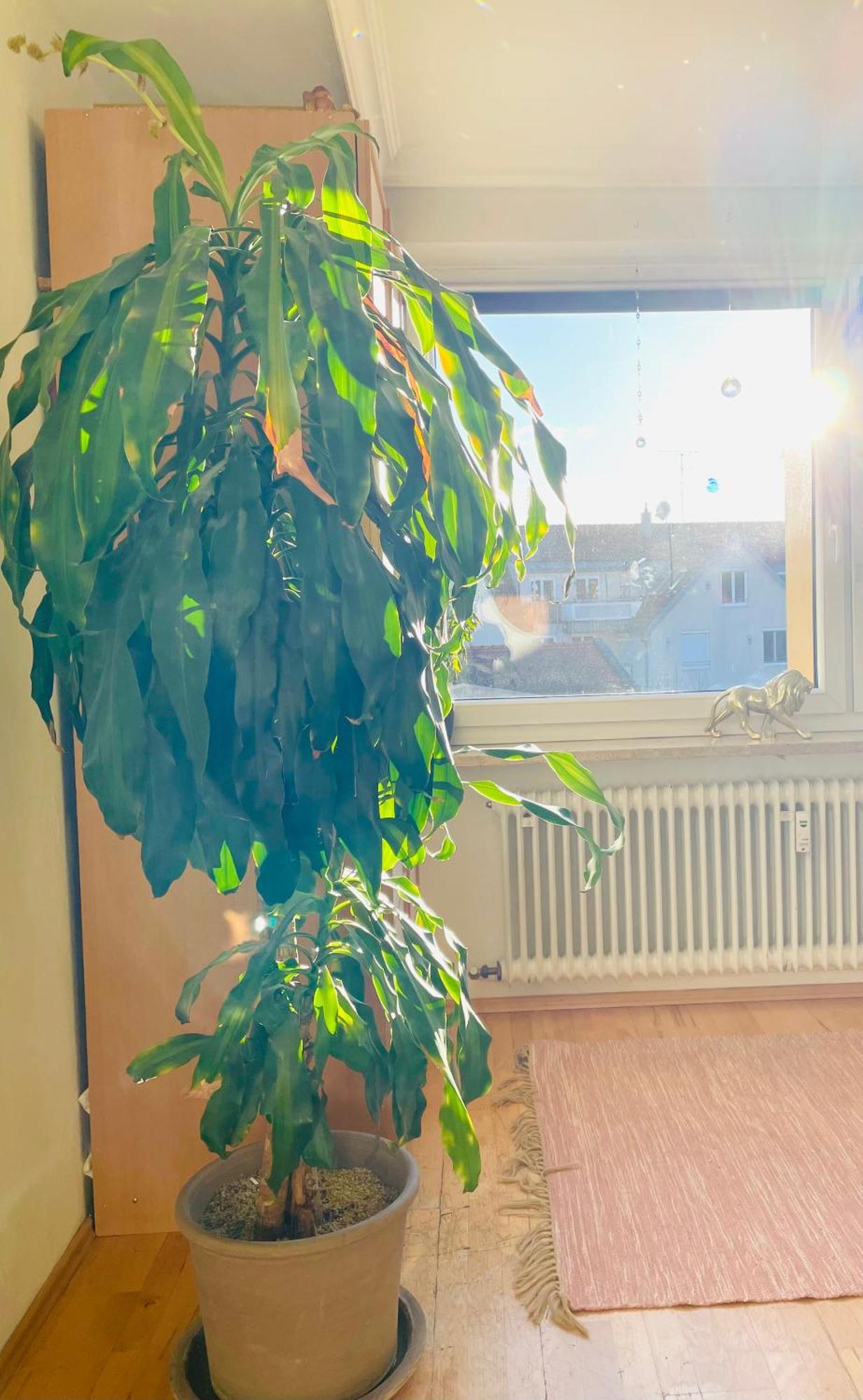 Ruheoase Im Herzen Von Apartment