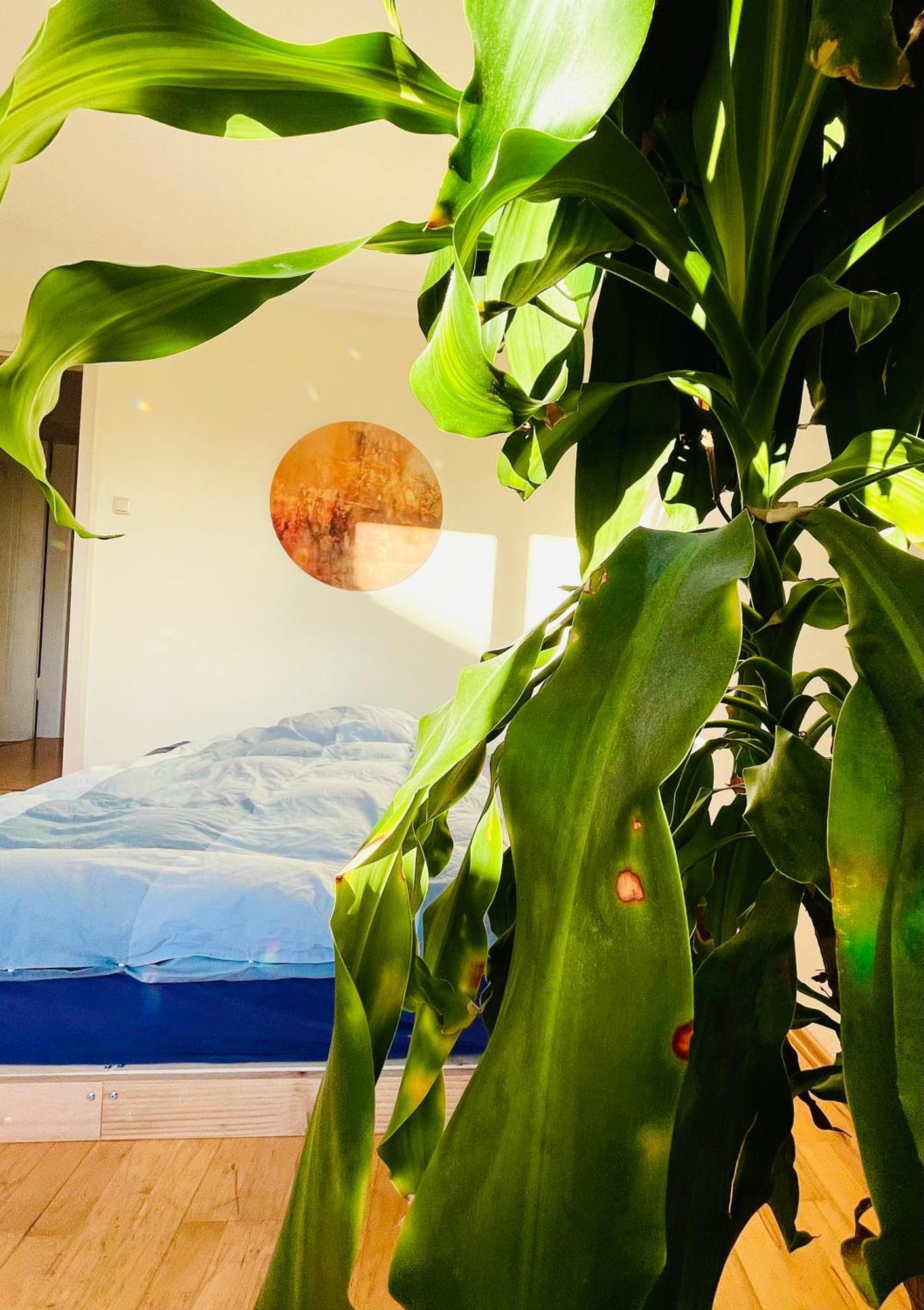 Apartment Ruheoase Im Herzen Von